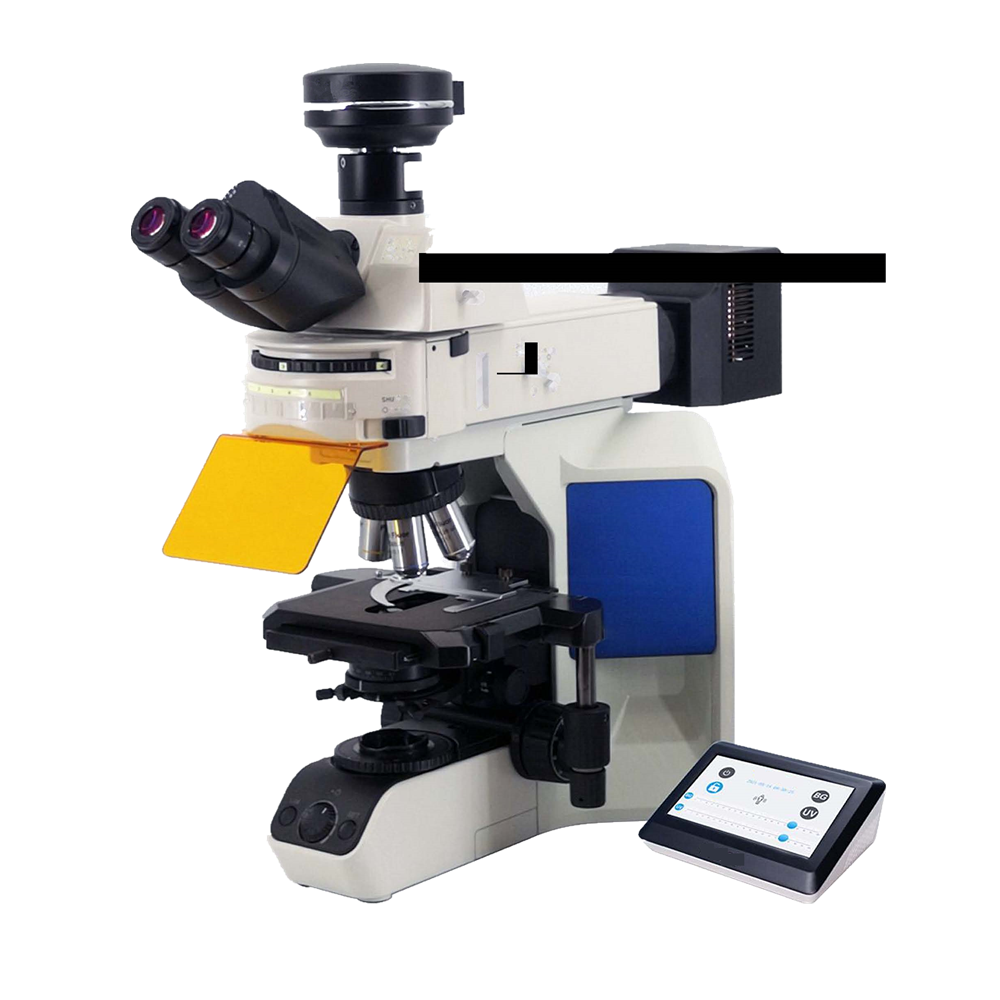 Five people Viewing Biological Microscope